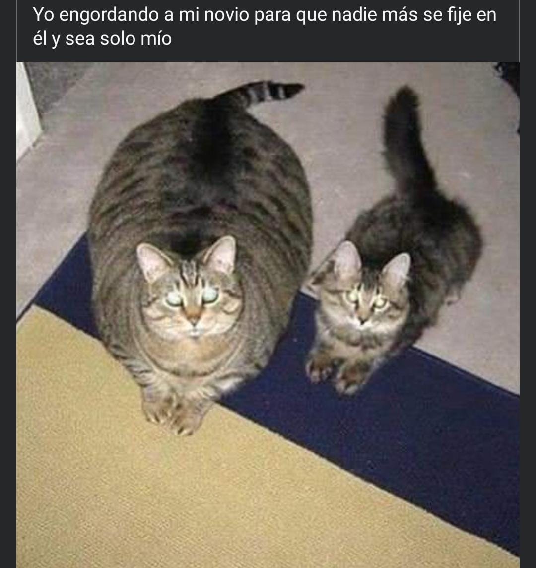 Al Final Lo Lograste